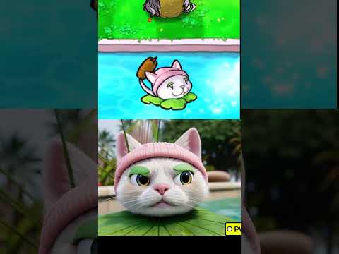 Just a reminder about this Crazy Cat w/@PVZCSH  (PVZ) #pvz #plantsvszombies