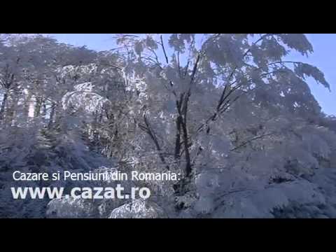 Cazare Cosevita, Timis - Cazat.ro
