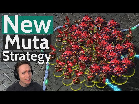 Rogue's NEW Mutalisk Strategy is BROKEN!