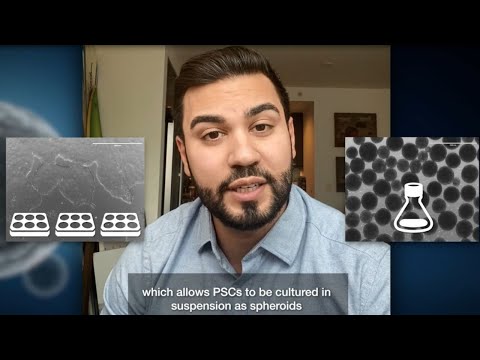 Grow PSCs to efficiently scale for cell therapy development