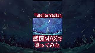 【オリジナルMV】「 #stellarstellar  」 #歌ってみた ／紅狼あむ #歌い手 #新人vtuber #星街すいせい
