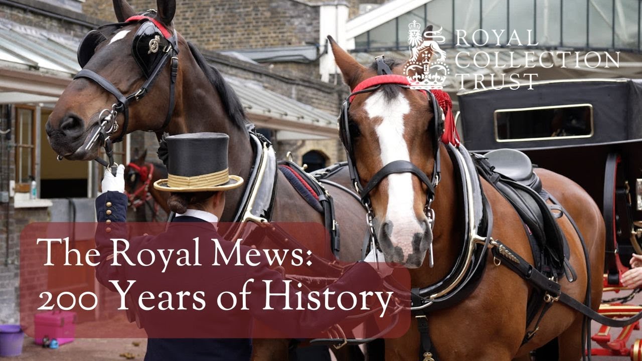 The Royal Mews | Buckingham Palace’s Stables | 200 Years of History