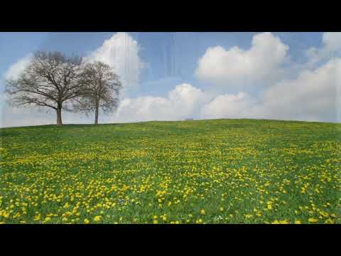 Jamilanda - Menschsein 1 Video-Thumbnail von YouTube
