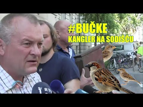 Bučke E46P03 - FRANC KANGLER NA SODIŠČU ZARADI VRABCEV