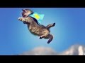 Cute Kittens Fly in Slow Motion to Hip Hop Dubstep ...