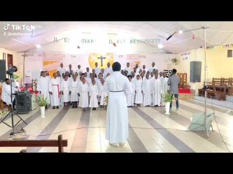 MACHO TELE NA MACHOZI