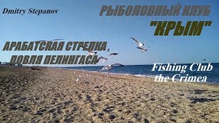 Рыбалка в крыму на пеленгаса