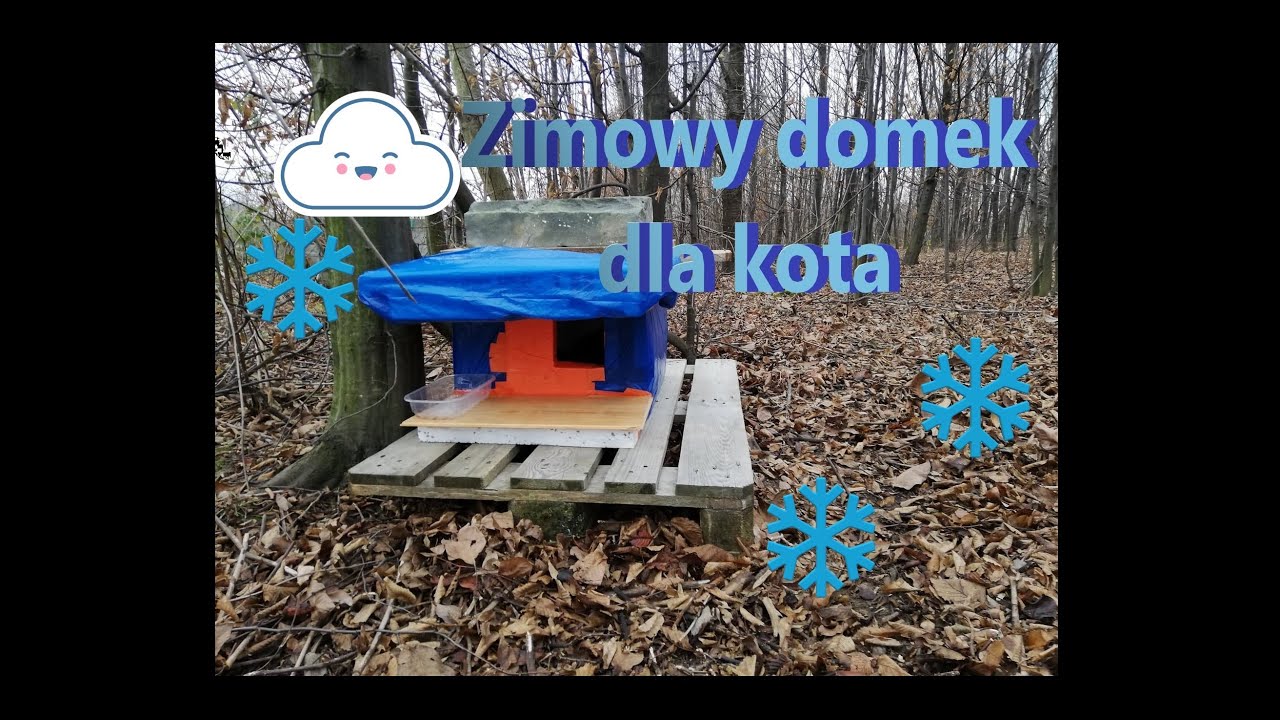 Zimowy domek dla dzikiego kota || 1# DIY