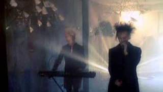 The Frozen Autumn - Is Everything Real?