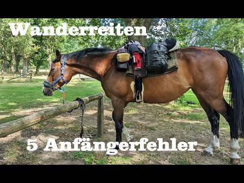 Ihr wollt mit dem Wanderreiten starten? Vermeidet diese 5 Fehler! Quicktipp  Wanderreiten
