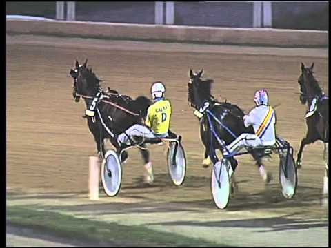 Trotto 20/09/2015 - 8° corsa