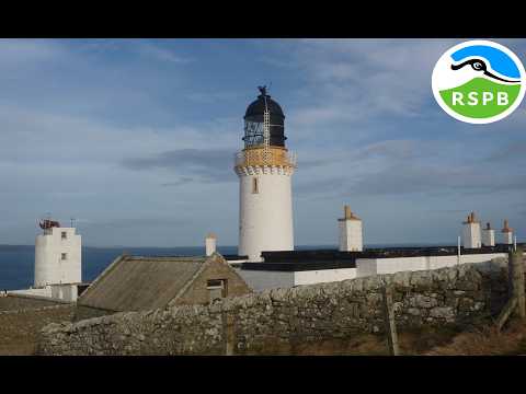 Dunnet Head The Northernmost Point On The British Mainland 15th February 2026