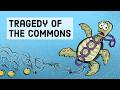 Tragedy of the Commons