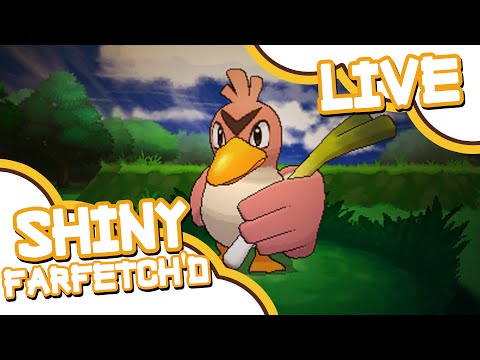Live Shiny Farfetch'd - Chain of 34 Via PokeRadar - Pokemon X