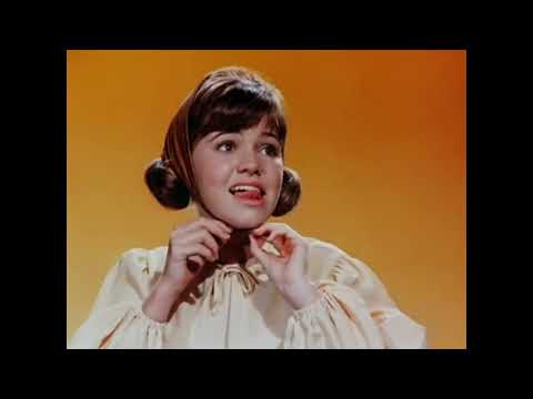 Gidget ギジェットは15才 Soundtrack Movie TV Theme Song 【Kero】