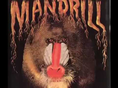 Mandrill - Mango Meat