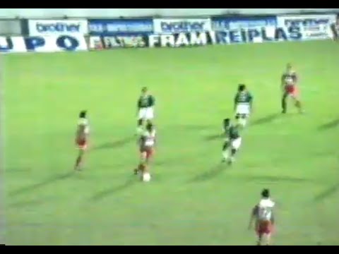 GUARANI 1x2 BOTAFOGO-SP - Campeonato Paulista Série A1 1996 - Thathi Esportes