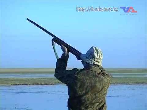 Выпуск программы «День» от 29 августа 2018г.