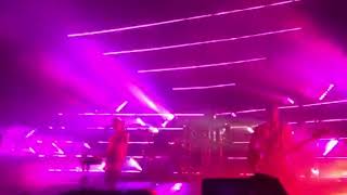 Lost in the Wild - Walk the Moon