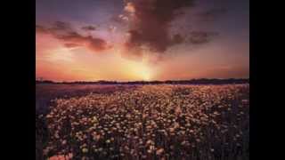 Porcupine Tree - Collapse The Light Into Earth