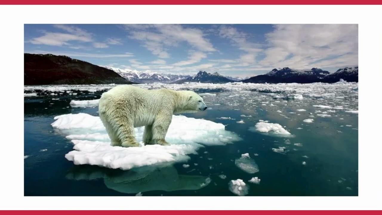 8º ano do Ensino Fundamental e EJA - Educação de Jovens e Adultos - aula 8.