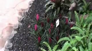 Hyatt Regency Maui   Part 1