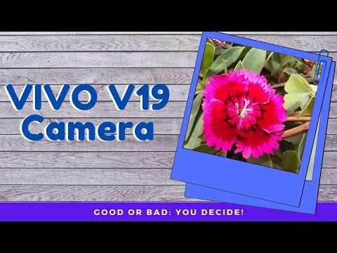 Vivo V19: Camera Preview Vivo V19: Camera Preview