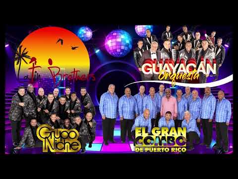 Grupo Niche, Fruko, Guayacan Orquesta, The Latin Brothers
