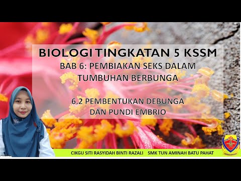 BIOLOGI TINGKATAN 5 KSSM BAB 6.2:PEMBENTUKAN DEBUNGA DAN PUNDI EMBRIO
