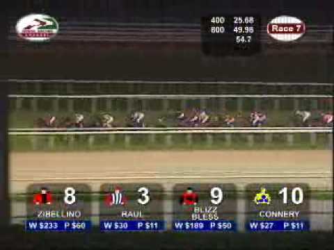 COMMITTEE'S PRIZE 24/02/06 - DIAMOND DUST