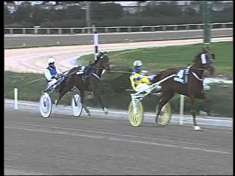 Trotto 12/01/2016 - 4° corsa