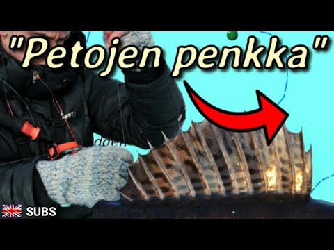 "Hirmupetoja nousee" | Kuhaa pilkkimässä järvellä