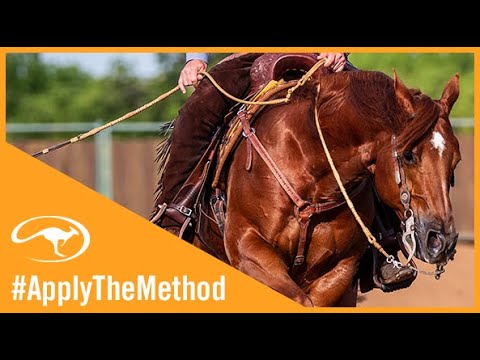 Clinton Anderson: Don't Expect Immediate Perfection - Downunder Horsemanship