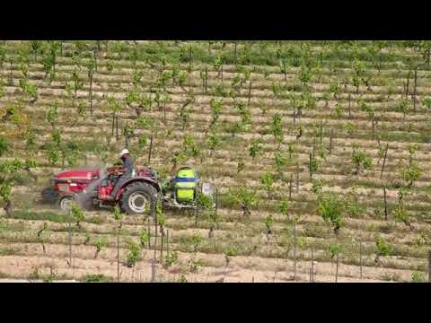 Agricultura na Quinta do Palame