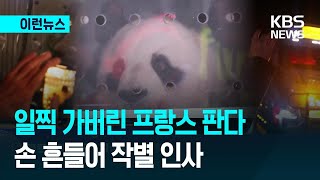 [이런뉴스] 프랑스 판다 부부, 예정보다 일찍 중국 돌아간 이유 / KBS 2025.11.26.