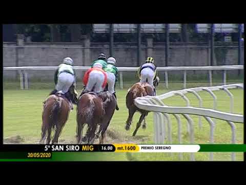 2020.05.30 Premio Seregno (ITA) - Wonderful World