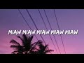 Meow Meow Meow Meow Sad Song Lyric Video