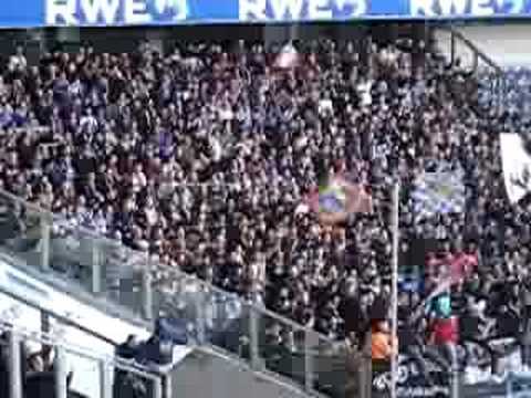 Hansa Rostock Fans at Duisburg