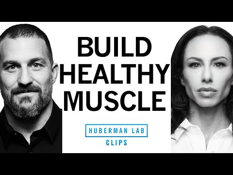 How to Optimize Muscle Health & Quality | Dr. Gabrielle Lyon & Dr. Andrew Huberman