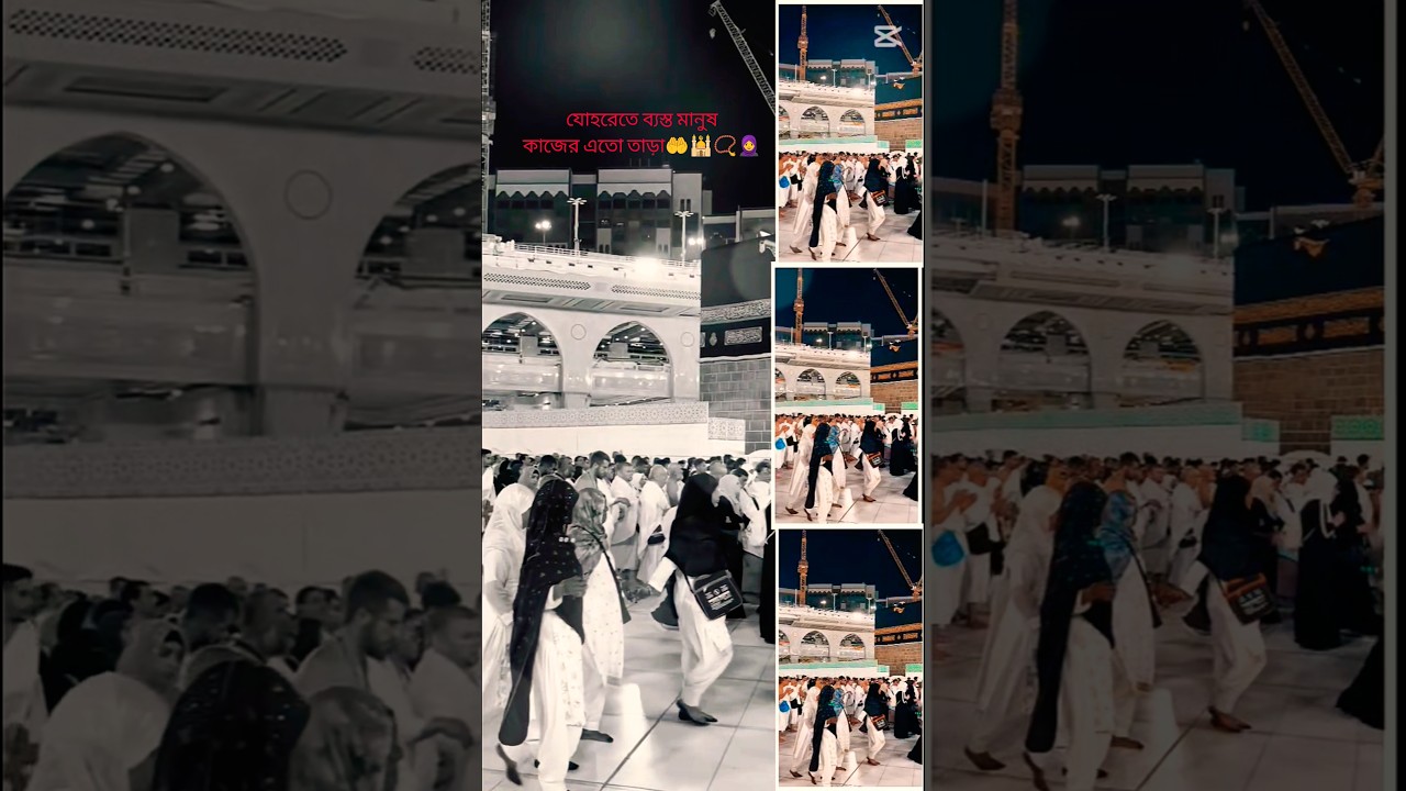 #foryou #funny #flowers #islamicvideo #beautiful #song #likee #duakaro #love #suscribekro #duet