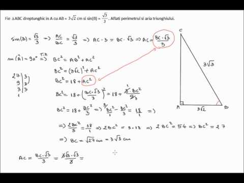 Online math video lessons - solving the right triangle (7h24)
