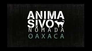 ANIMASIVO NOMADA OAXACA MACO