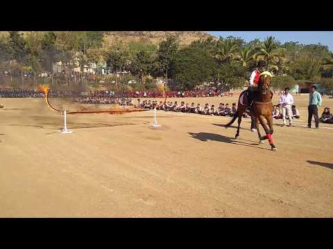 Horse Riding Demo