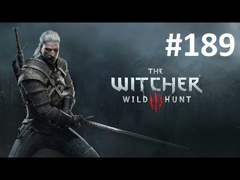 Let's Play The Witcher #189 - Folge der Möwe [HD][Ryo]
