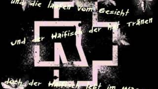 Rammstein-Haifisch [with lyrics]