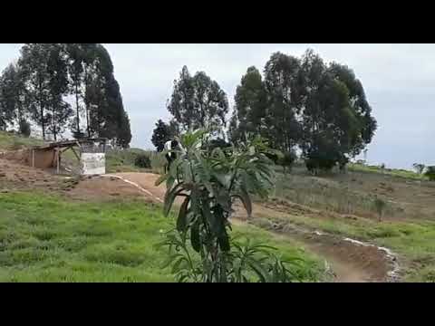 Campeão na Rígida Elite