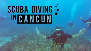 Scuba Diving in Mexico