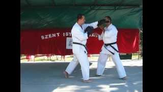 preview picture of video 'Okinawa goju ryu karate bemutató Maglód 2012.08.19. II.'