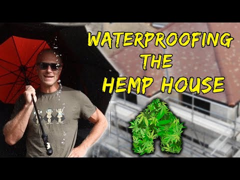#8 - Why We CAN'T Use Cement - Lime Rendering Our Hemp House