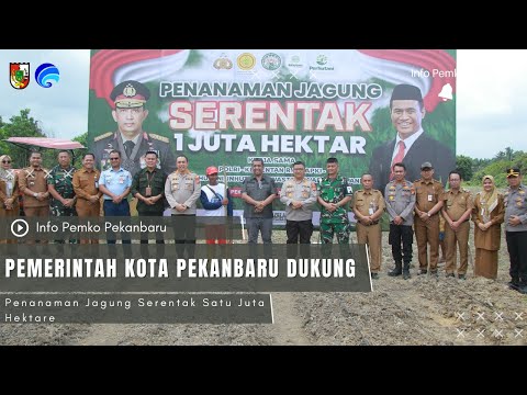 Pemerintah Kota Pekanbaru Dukung Penanaman Jagung Serentak Satu Juta Hektare